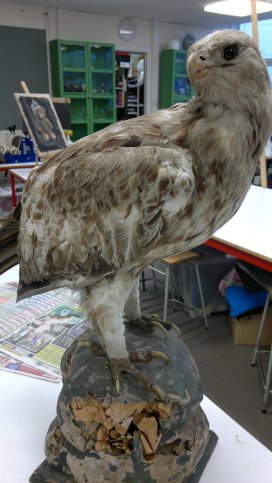 Before: Full Mount - the extent of damage and wear and tear is clear!