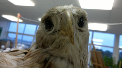 This picture broke my heart. How could you not want to help something looking so sad?