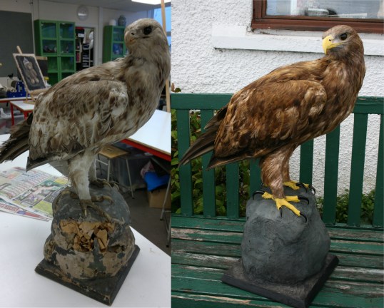 Before and After: A Full Side-by-Side Comparison